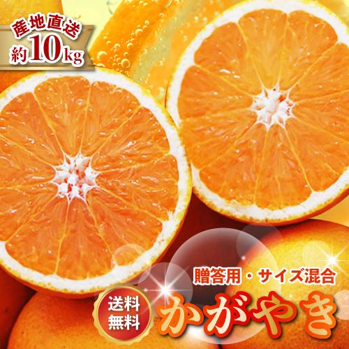 2026年3月分予約 糖度15度 愛媛産 減農薬 かがやき 贈答用 約10kg サイズ混合 清見 オ...
