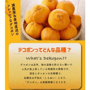 2027年3月分予約 最高糖度15度 訳あり ...の詳細画像2