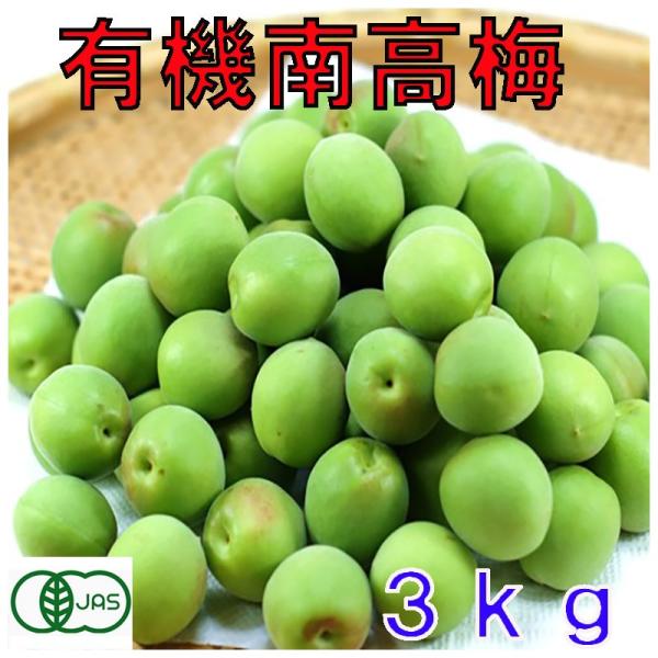 6月分予約有機JAS 和歌山 南高梅 青梅 生梅 訳あり 梅酒用 3kg サイズ混合 産地直送 * ...