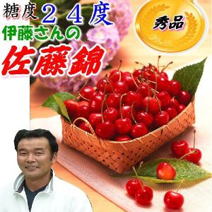 糖度24度 減農薬 山形 佐藤錦 さくらんぼ 900g バラ詰め化粧箱入 Lサイズ 贈答用 サクランボ 産地直送｜808