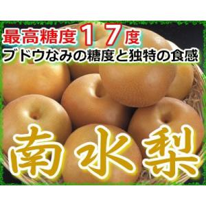 訳あり 最高糖度17度 梨 長野産 南水梨 約1.5キロ 大玉4〜5個入 南水 S10