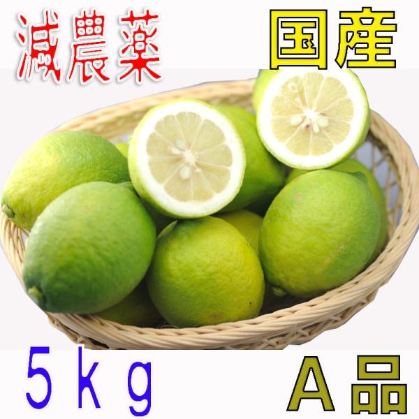 低農薬 国産 レモン 5kg A品 愛媛 瀬戸内 大三島 れもん 檸檬 贈答用 国産 防腐剤不使用 ...