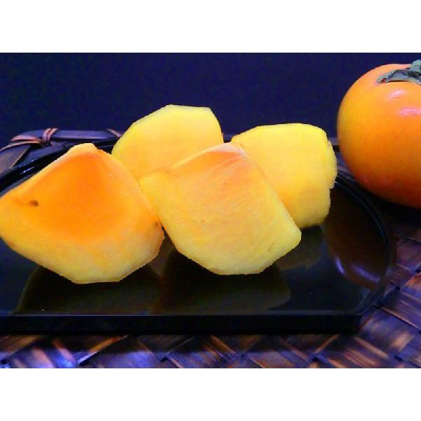 山形産 庄内柿 ひらたねなし柿 平核無柿  約3kg 20個入 贈答用秀品 化粧箱入 種無し柿 ひら...