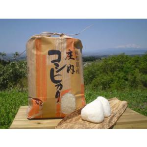 新米 産地直送 全額返金保証 山形産 コシヒカリ 白米/玄米 10kg こしひかり  庄内米 * ふ...