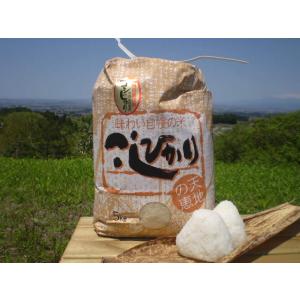 新米 産地直送 全額返金保証 山形県産 特別栽培米 コシヒカリ 白米/玄米 10kg こしひかり 減...