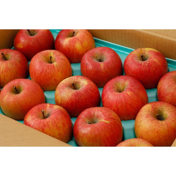 減農薬 サンふじ りんご B品 約9kg 24~46個入 長野 リンゴ 林檎 さんふじ サンフジ 小...