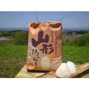 新米 産地直送 全額返金保証 山形県産 はえぬき 白米/玄米 5kg  庄内米 * ふるさと納税 で...