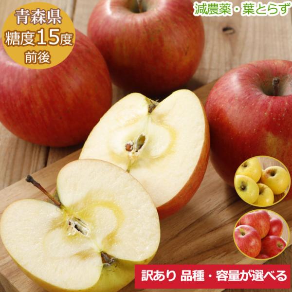 【全額返金】糖度15度前後 減農薬 葉とらず 完熟 りんご 3〜18kg 訳あり 青森 産 ふじ 白...