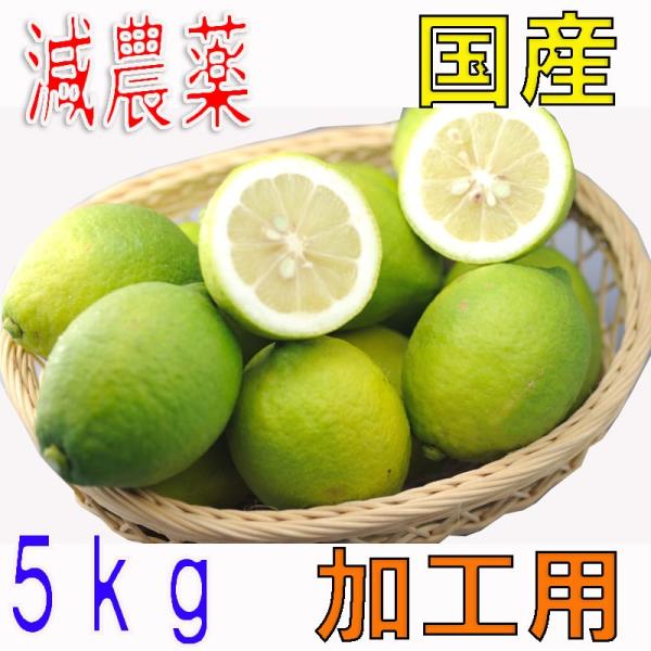 10月分予約 訳あり 低農薬 愛媛 レモン 5kg 加工用 国産 瀬戸内 大三島 れもん 檸檬 家庭...