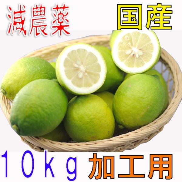 訳あり 低農薬 愛媛 レモン 10kg 加工用 国産 瀬戸内 大三島 れもん 檸檬 家庭用 国産 防...