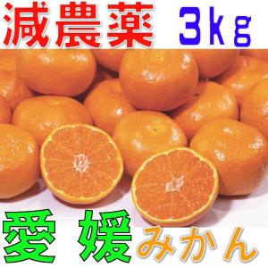 12月分予約 減農薬 訳あり みかん 約 3kg 愛媛みかん ミカン 蜜柑 サイズ混合 産...