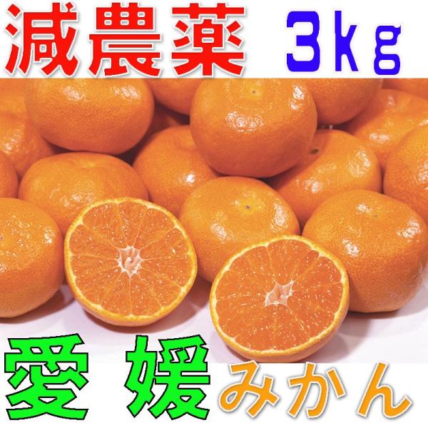減農薬 訳あり みかん 約 3kg 愛媛みかん ミカン 蜜柑 サイズ混合 産地直送 大三島 ore ...