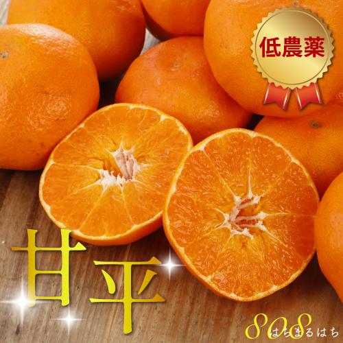 2026年2月分予約 糖度15度 訳あり 減農薬  甘平 みかん 約5kg 愛媛 サイズ混合 産地直...