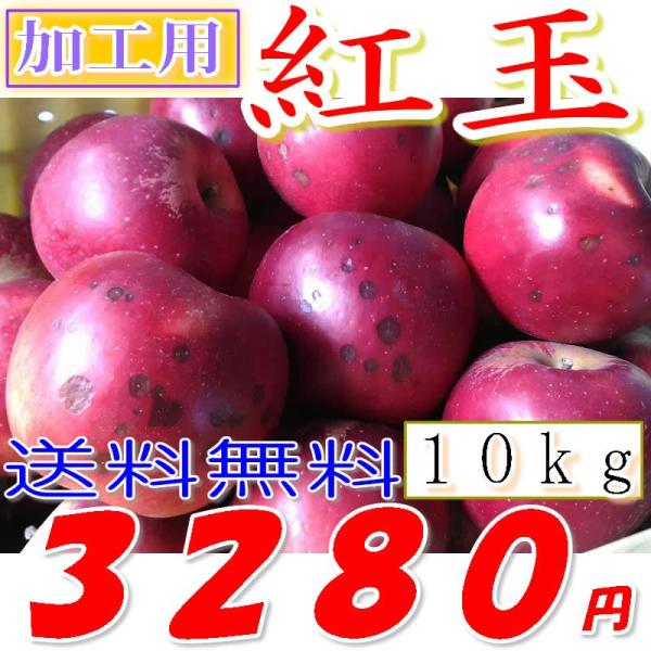 ポイント１０倍紅玉 産地直送 長野産 減農薬 有機肥料使用 樹上完熟 加工用 約10kg 小玉サイズ...
