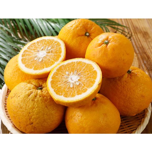 2026年3月分予約 訳あり 愛媛産 サマーキング 約8kg 減農薬 サイズ混合 甘夏 あまなつ 八...