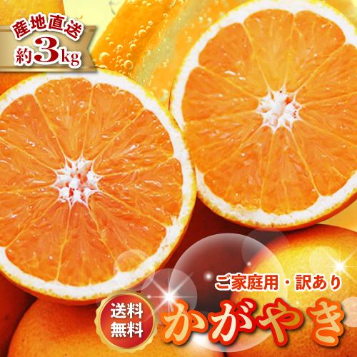 2026年3月分予約 糖度15度 訳あり 愛媛産 減農薬 かがやき 小玉サイズ 約3kg 清見 オレ...