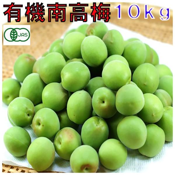 6月分予約有機JAS 和歌山 南高梅 青梅 生梅 訳あり 梅酒用 10kg サイズ混合 産地直送 *...
