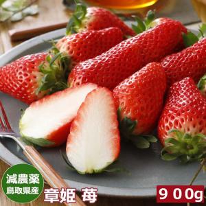 2026年分予約 減農薬 鳥取県産 章姫 苺 いちご 贈答用 大粒30〜36玉 900g 化粧箱...
