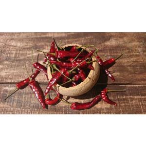 9月分予約 減農薬 香川産 乾燥 唐辛子 香川本鷹 100g 75~100本程度 国産 和唐辛...