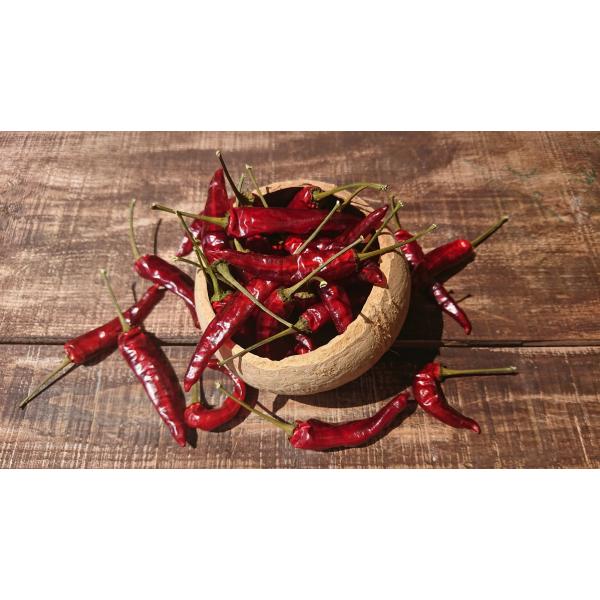 2026年9月分予約 減農薬 香川産 乾燥 唐辛子 香川本鷹 100g 75~100本程度 国産 和...