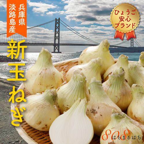 2026年3月分予約 減農薬 兵庫県 淡路島産 新玉ねぎ 5kg サイズ混合 12〜25個入 産地直...
