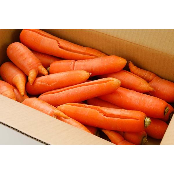 有機JAS 高知産 人参 3.8kg サイズ混合 訳あり にんじん ニンジン 産地直送 * ふるさと...