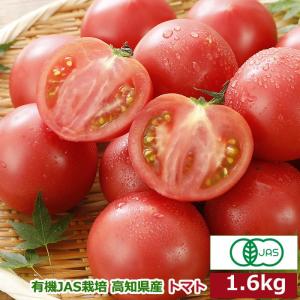 有機JAS栽培 高知県産 トマト 1.6kg 現地直送｜808