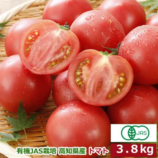 訳あり 有機JAS栽培 高知県産 トマト 3.8kg 現地直送