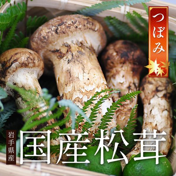2027年9月分予約 松茸 国産 中つぼみ(半開き) 約200g〜500g まつたけ マツタケ 岩手...