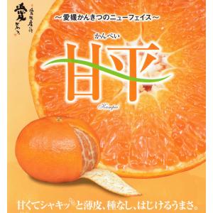 愛媛県産 甘平 かんぺい  約1.2kg バラ詰め * ふるさと納税 ではありません