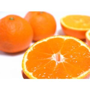 無農薬 訳あり 熊本産 ネーブル オレンジ 約 5kg ご家庭用 サイズ混合 産地直送 3t * ふ...