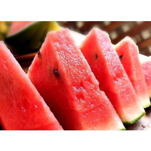 2026年5月分予約 低農薬 熊本産 小玉すいか ひとりじめ 1玉2〜2.5kg 訳あり 小玉...