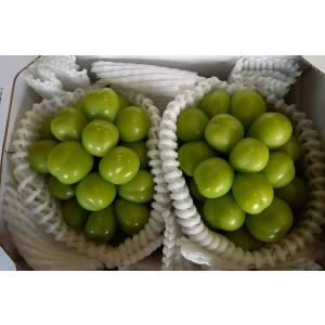 2026年分予約 訳あり 岡山産 シャインマスカット １kg 2房 優品 ご家庭用 ぶどう...