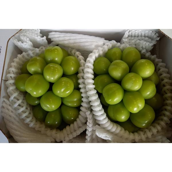 2026年分予約 訳あり 岡山産 シャインマスカット １kg 2房 優品 ご家庭用 ぶどう ブドウ ...