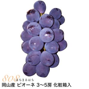 2026年9月分予約 訳あり 岡山産 ぶどう ピオーネ 1.8kg 3〜5房 ご家庭用 優品 化...