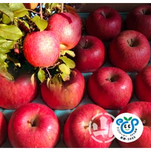 全額返金保証 減農薬 晩生品種 訳あり りんご 4.5kg サンふじ シナノゴールド グ...