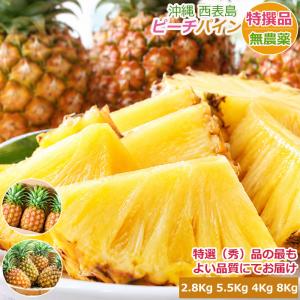 2027年7月分予約 【全額返金】 無農薬 沖縄産 ピーチパイン 2.8kg 〜8kg 贈答用 ...