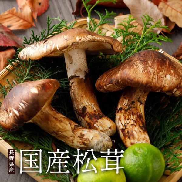 国産 松茸 ひらき 約500g まつたけ マツタケ 長野 * ふるさと納税 ではありません