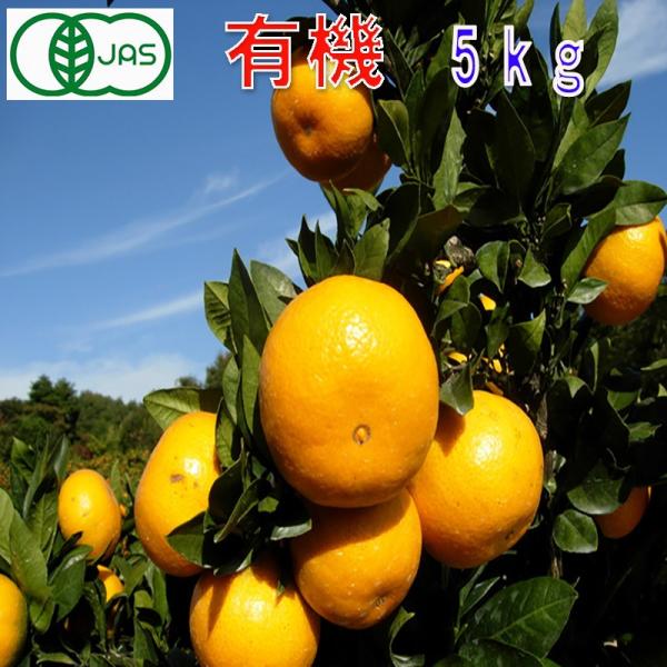 有機JAS みかん 訳あり 約5kg 和歌山産 ２S〜２L サイズ混合 ミカン 蜜柑 産地直送 10...