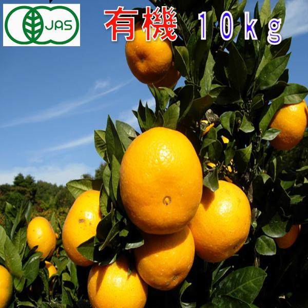 有機JAS みかん 訳あり 約10kg 和歌山産 ２S〜２L サイズ混合 ミカン 蜜柑 産地直送 1...