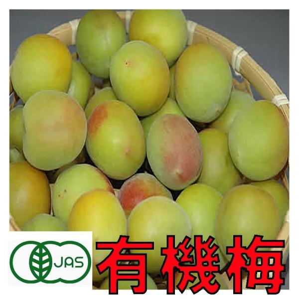 有機JAS 和歌山 生梅 熟 梅干し用 5kg 訳あり サイズ混合 産地直送 6t * ふるさと納税...