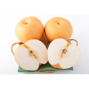 減農薬  岡山産 新雪梨 約4.8キロ 超大玉7~8玉 贈答用 * ふるさと納税 ではありません