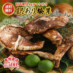 国産松茸” 約400g 大きさおまかせ 産地厳選【予約 9月下旬以降】 送料