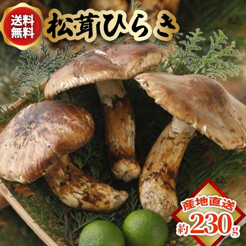 国産 松茸 ひらき 小さめ 約230g ~ 1kg 程度 まつたけ マツタケ 岡山 * ふるさと納税...