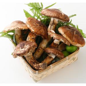 国産 松茸 ひらき 約700g 3~10本程度 まつたけ マツタケ 岡山 ギフト * ふるさと...