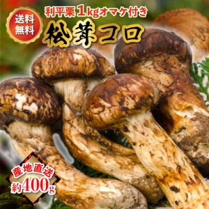 利平栗1kgおまけ付 国産 松茸 コロ(ミニサイズ) 400g前後 マツタケ まつたけ 岡山 ギフト 産地直送｜808