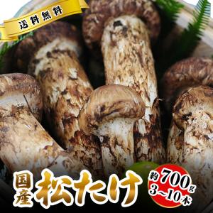 生松茸 特選 開き 約2kg HBサイズ【22本前後×2箱 長さ8cm前後】空輸