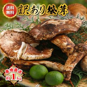 訳あり 国産 松茸 1kg前後 まつたけ マツタケ 岡山 * ふるさと納税 ではありません