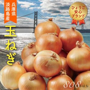 6月分予約 減農薬 淡路島 玉ねぎ 4.5kg  タマネギ たまねぎ 玉葱 玉ネギ 淡路産 ...
