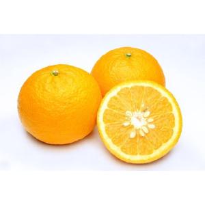 訳あり 有機JAS 佐賀県産 甘夏 みかん 約2.3kg サイズ混合 あまなつ アマナツ 産...